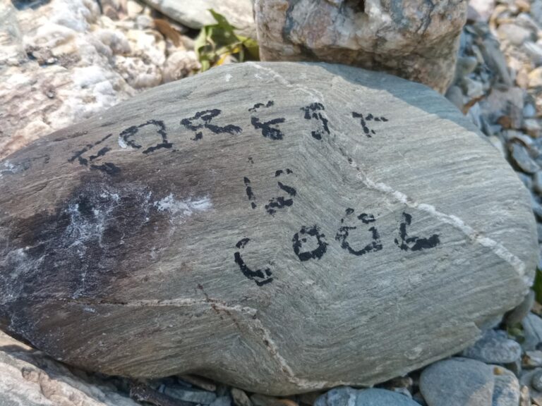 470139985 122129757854464370 8702248631208546850 n 768x576