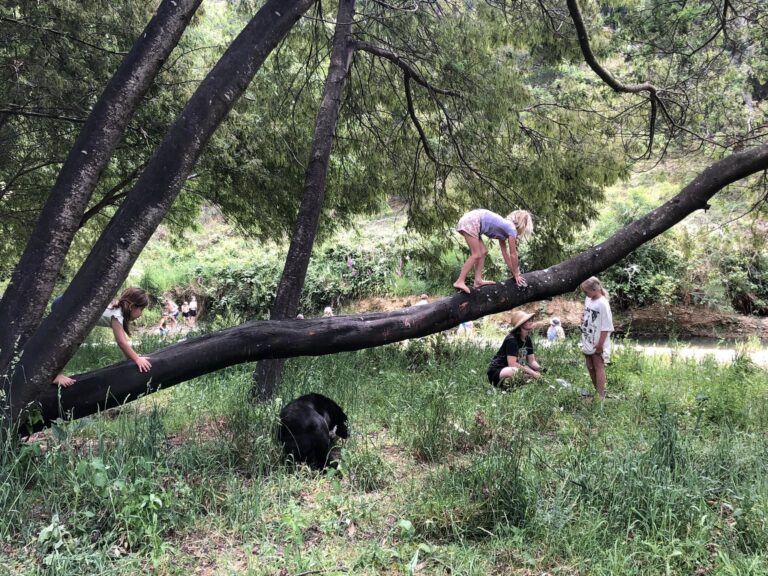 471431375 122131605548464370 6898123052722804729 n 768x576